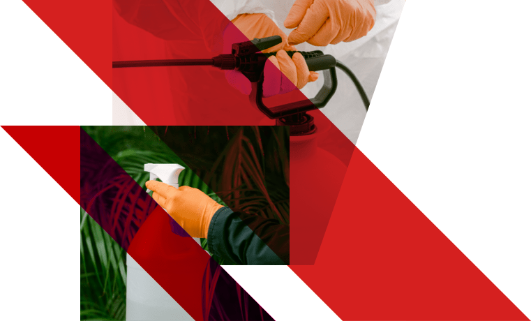 pest-control-29-d